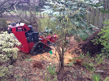 Northwest Stump Grinding equipment removing a stump in a residential yard