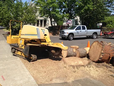 Grinding a large stump curbside with fresh wood chips