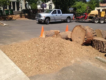 Tree rounds and mulch from a completed removal
